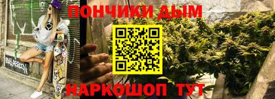 apvp Заводоуковск