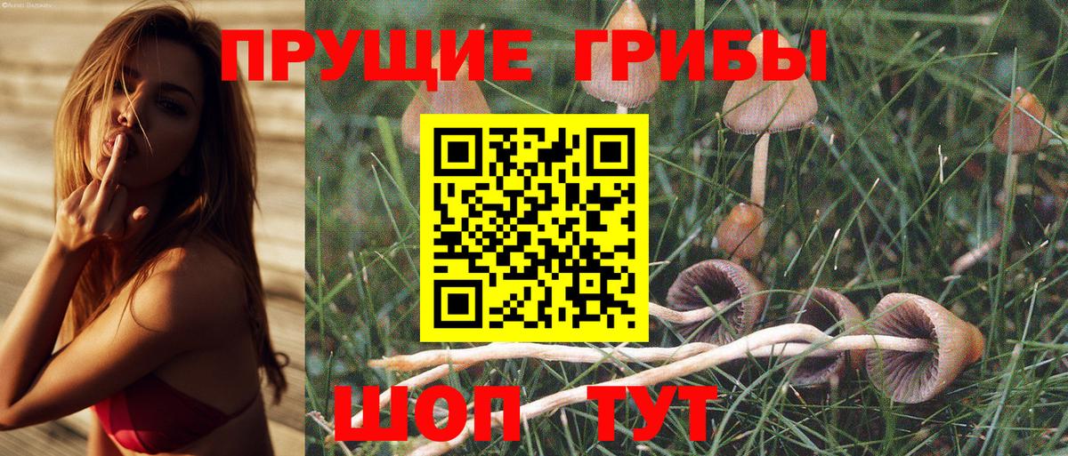 Галлюциногенные грибы GOLDEN TEACHER  Вход с VPN  Псилоцибиновые грибы Psilocybine cubensis  Ишимбай 